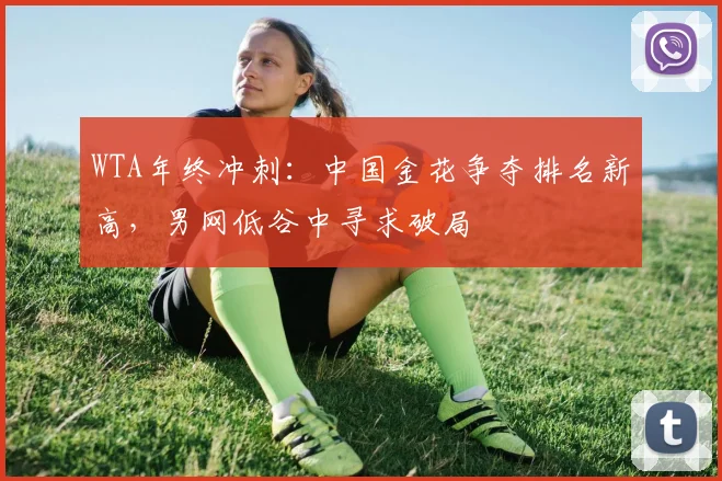 WTA年终冲刺:中国金花争夺排名新高,男网低谷中寻求破局
