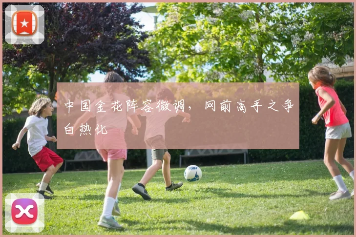 中国金花阵容微调,网前高手之争白热化