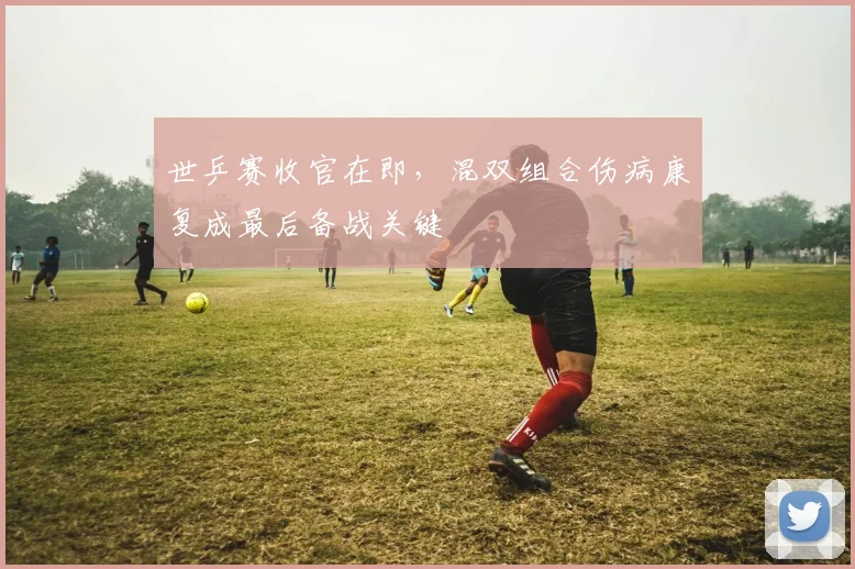 世乒赛收官在即，混双组合伤病康复成最后备战关键