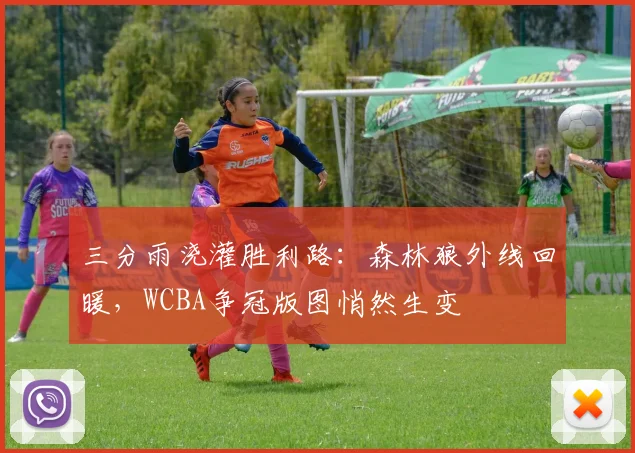 三分雨浇灌胜利路：森林狼外线回暖，WCBA争冠版图悄然生变