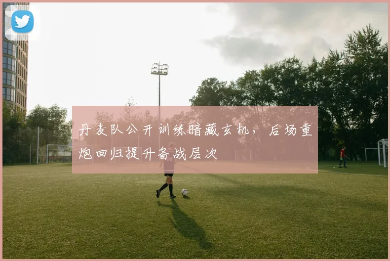 丹麦队公开训练暗藏玄机,后场重炮回归提升备战层次