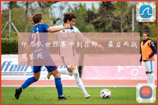 印尼队世预赛冲刺在即,最后两战定生死